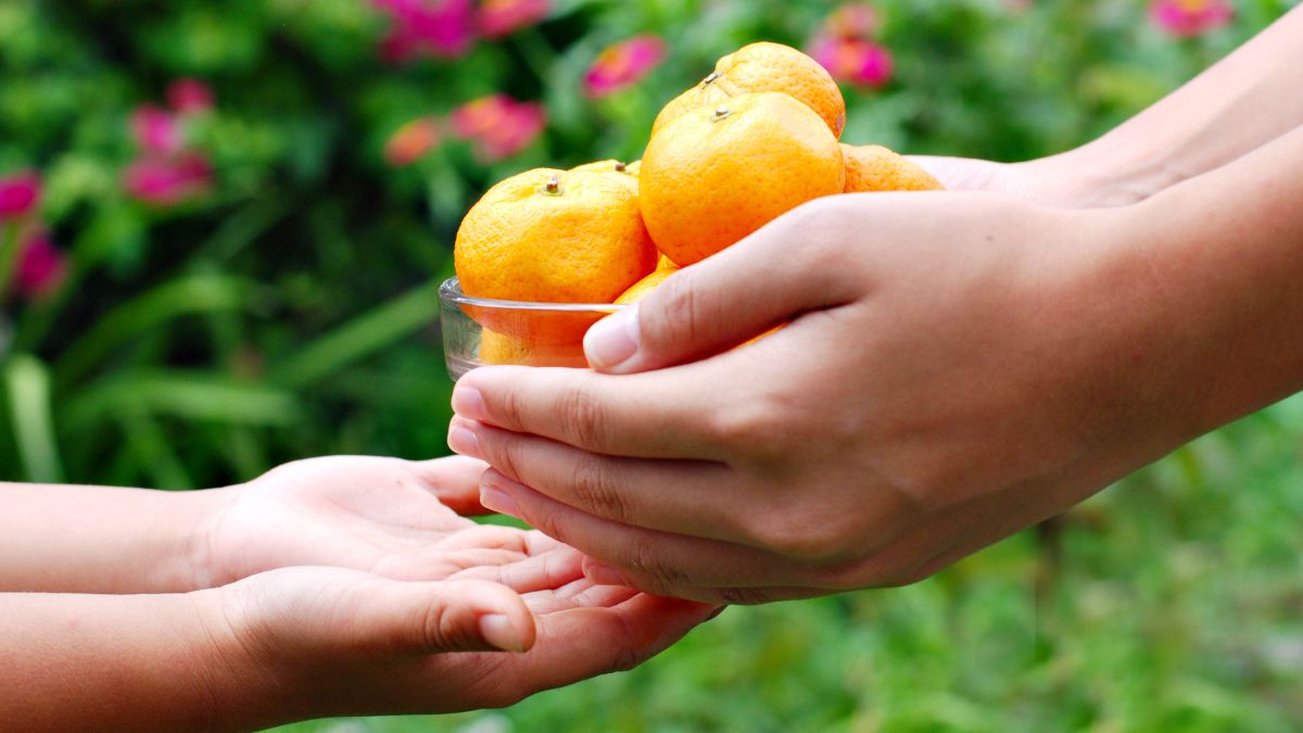 adult handing a bowl with mandarins to smaller hands