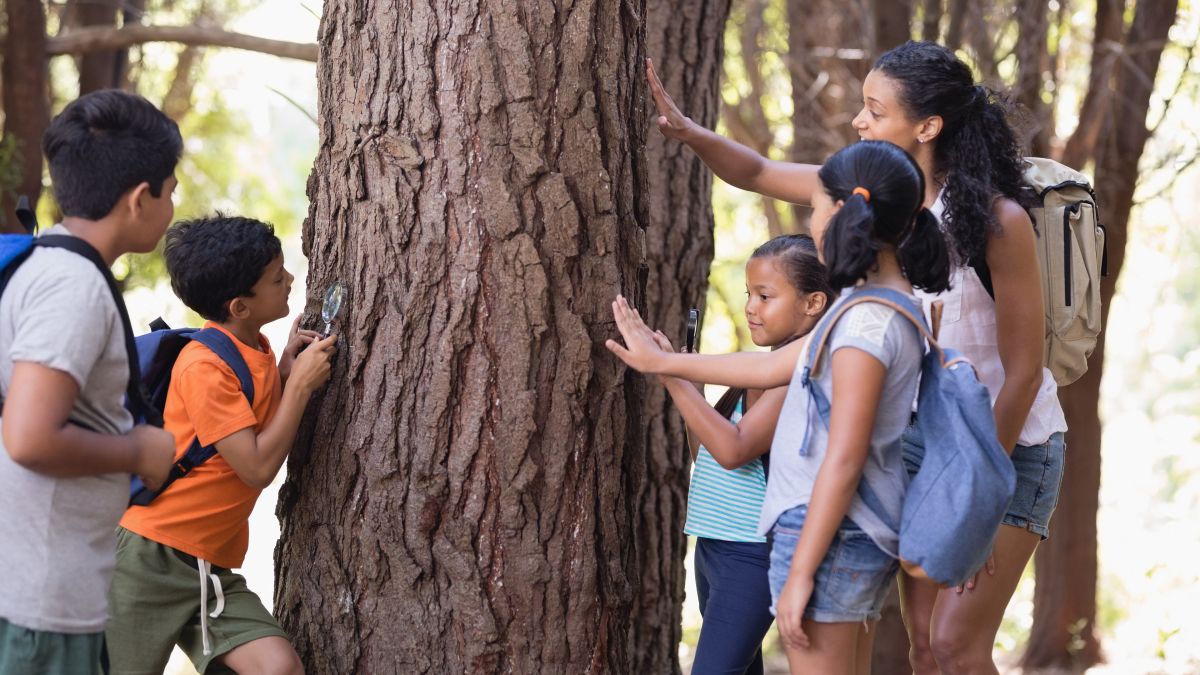 teacher and students touching tree trunk field trip