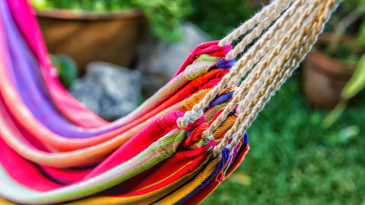 colorful hammock hanging from tree