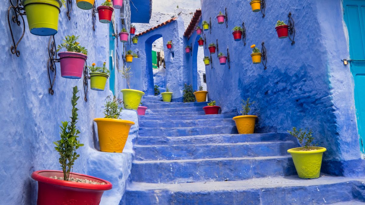 cement stairway with colorful planters
